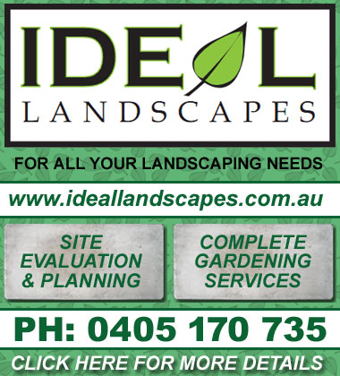 Visit the Ideal Landscapes web site